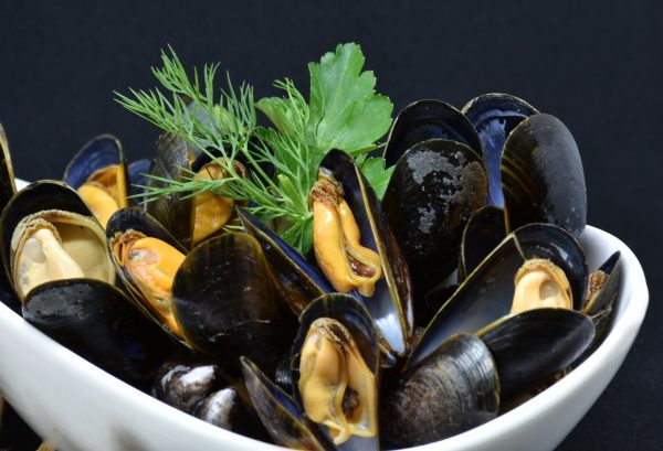 mussels-3148429_1920